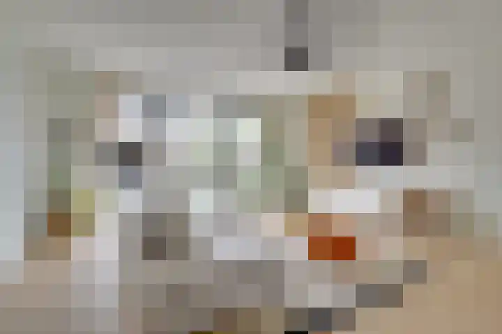 Voedselbos Rijnvliet 16 Utrecht thumbnail 9
