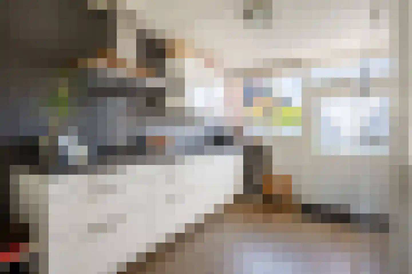 Voeghouten 22 Slochteren thumbnail 21