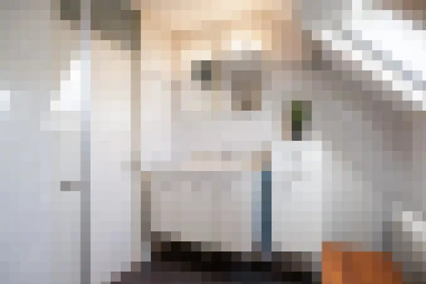 Voeghouten 22 Slochteren thumbnail 39