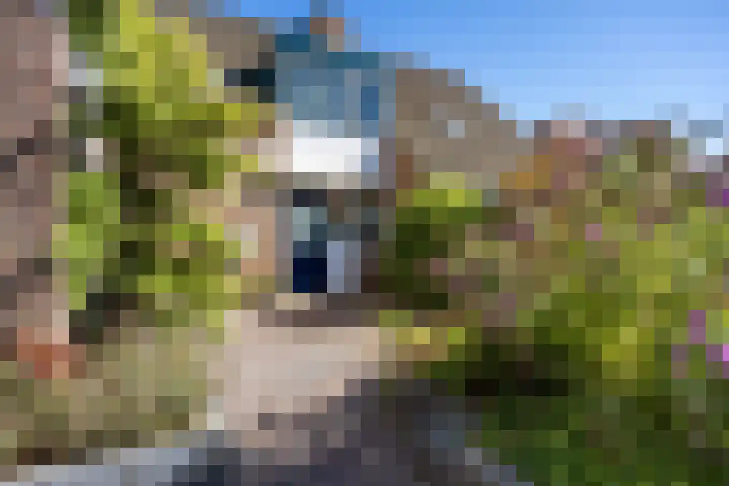 Voeghouten 22 Slochteren thumbnail 53
