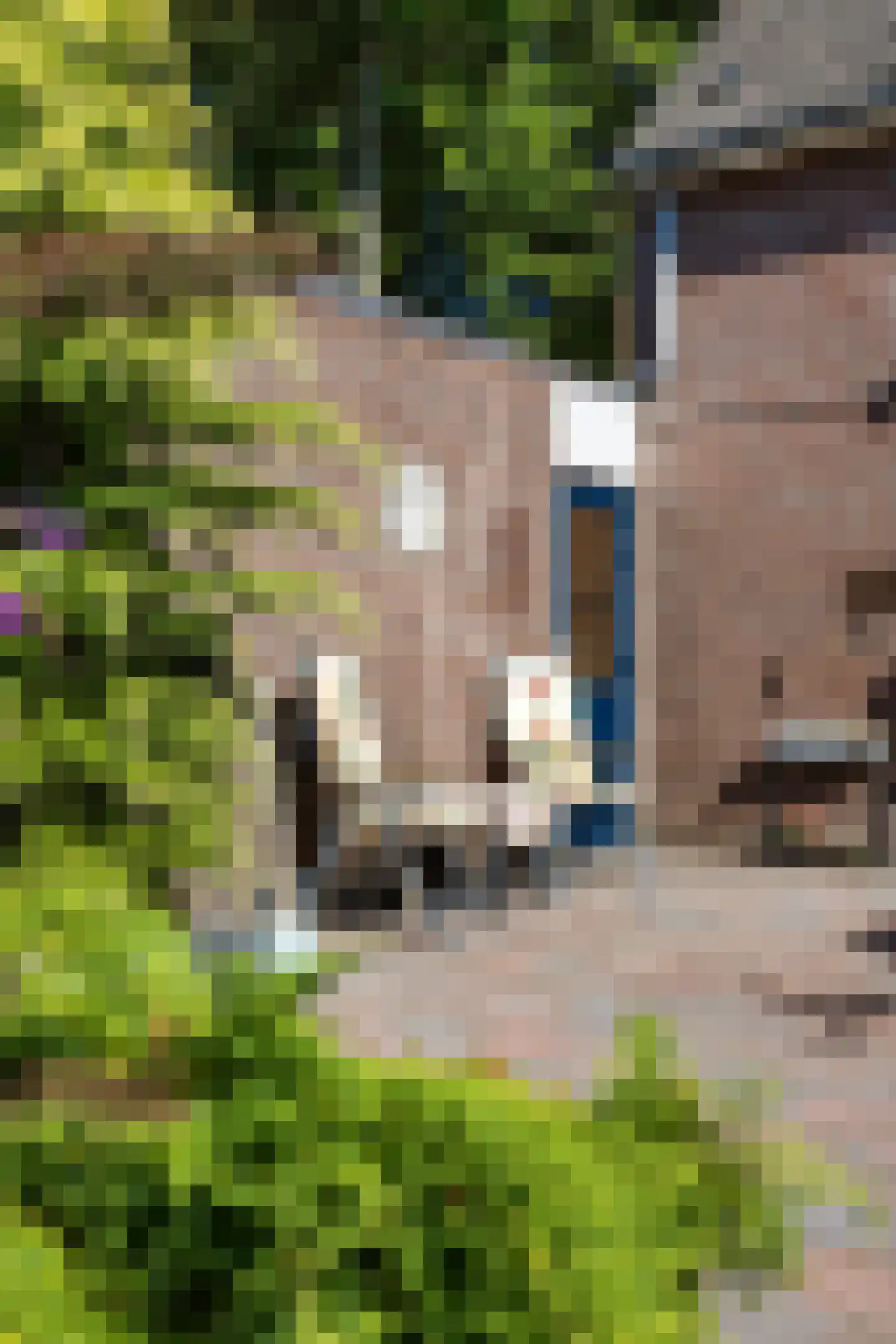 Voeghouten 22 Slochteren thumbnail 56