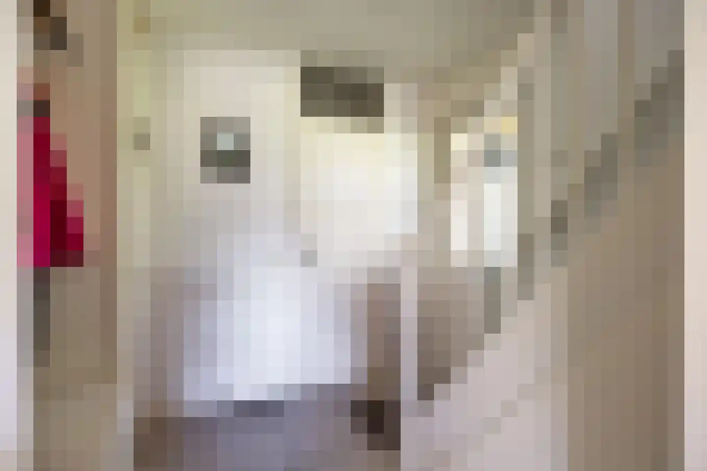 Voeghouten 22 Slochteren thumbnail 9