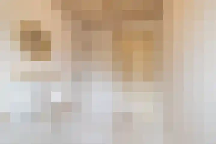 Voeghouten 4 Slochteren thumbnail 27