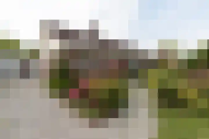 Voeghouten 4 Slochteren thumbnail 5