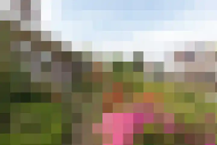 Voeghouten 4 Slochteren thumbnail 7