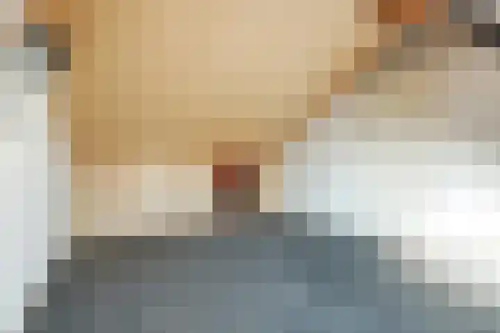 Voeghoutenstraat 198 Klazienaveen thumbnail 26
