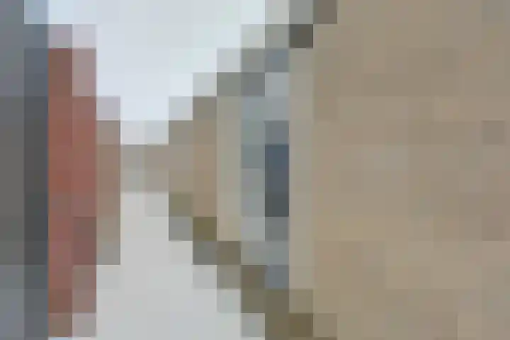 Voeghoutenstraat 198 Klazienaveen thumbnail 31