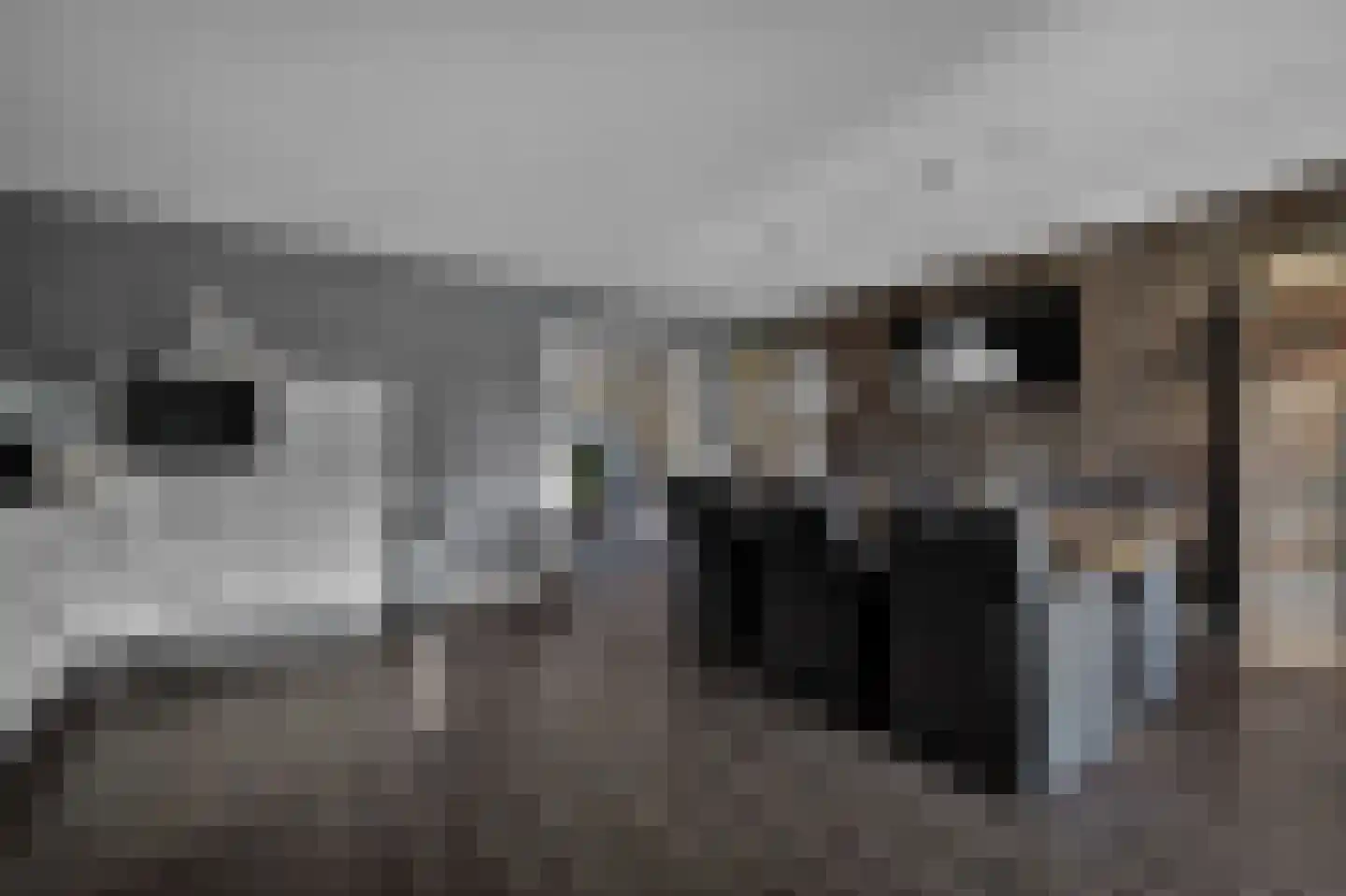 Voeghoutenstraat 22 Klazienaveen thumbnail 13