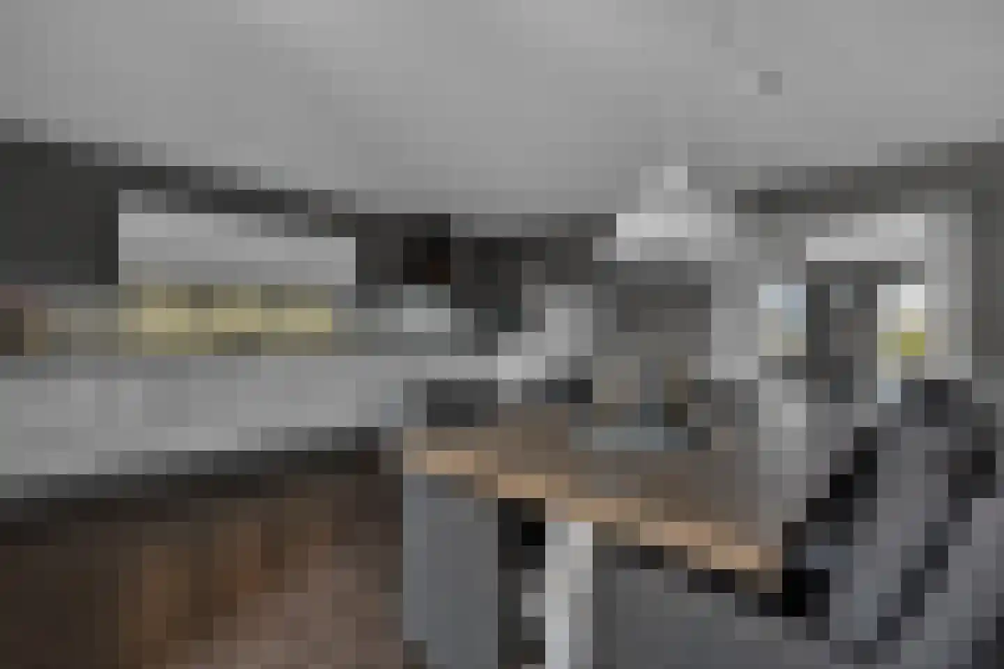 Voeghoutenstraat 22 Klazienaveen thumbnail 16