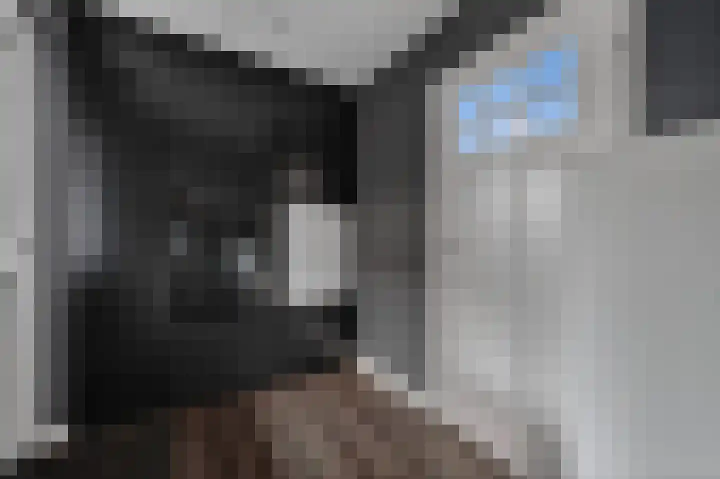 Voeghoutenstraat 22 Klazienaveen thumbnail 18