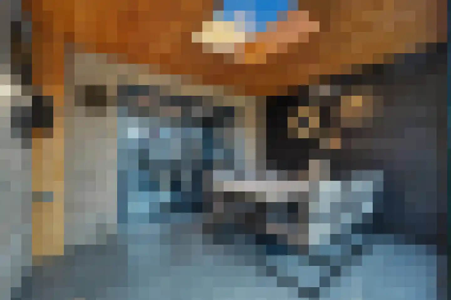 Voeghoutenstraat 22 Klazienaveen thumbnail 22