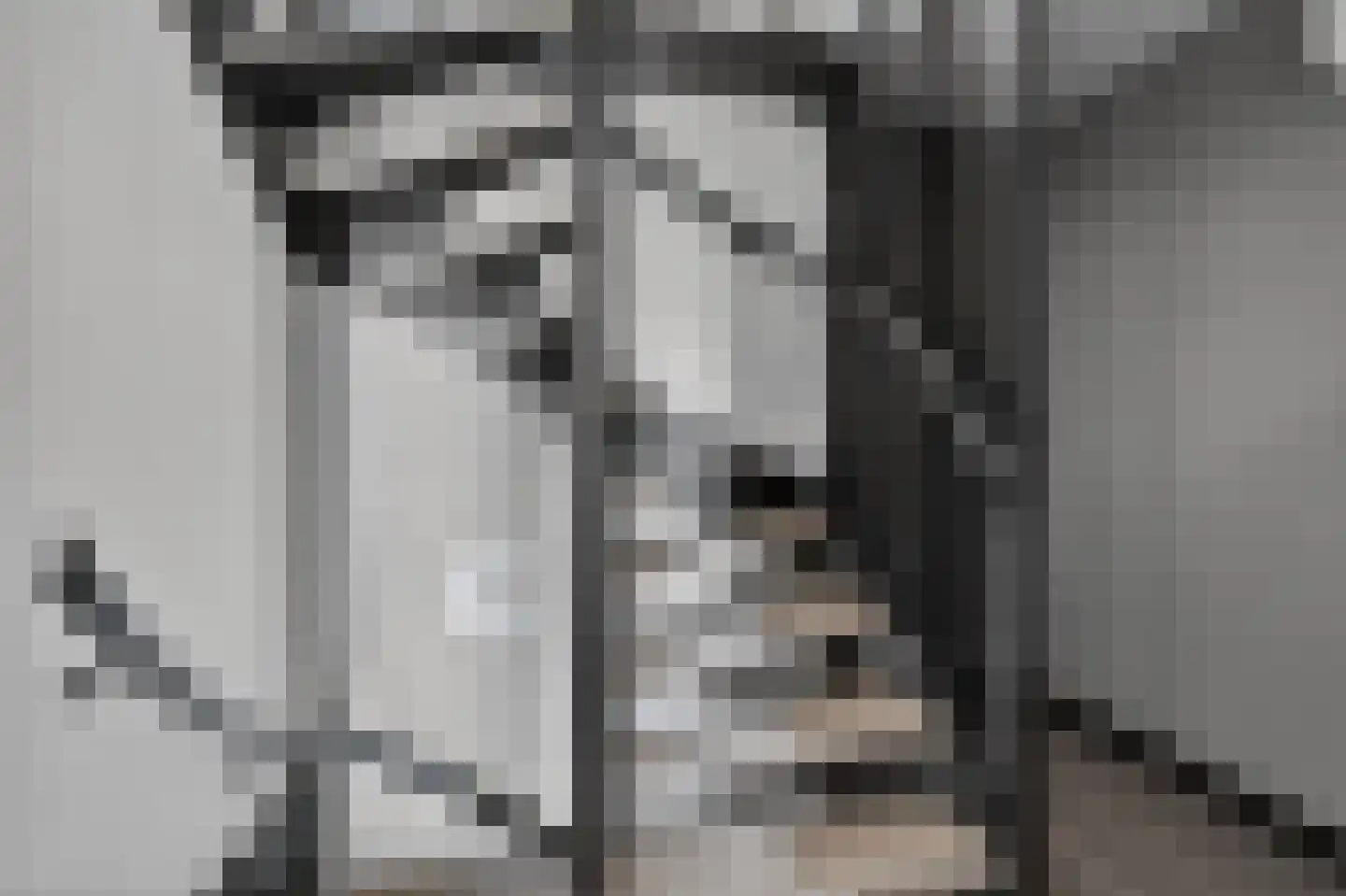 Voeghoutenstraat 22 Klazienaveen thumbnail 24
