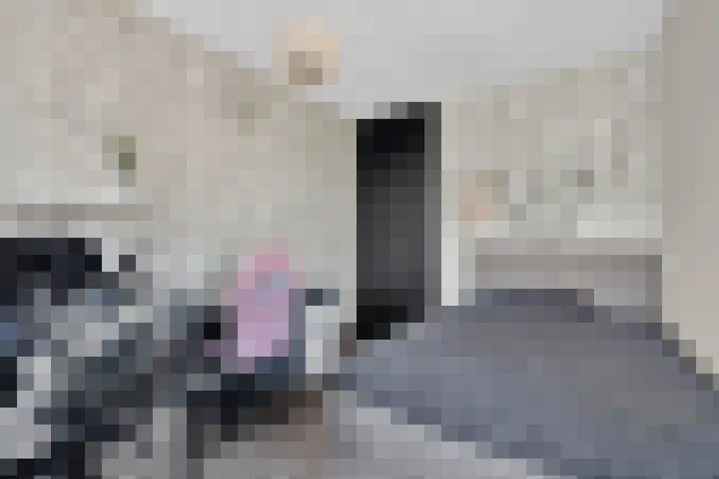Voeghoutenstraat 22 Klazienaveen thumbnail 28