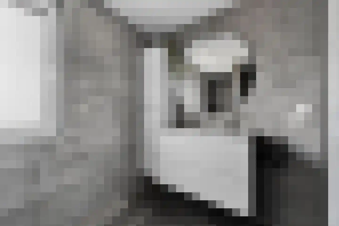 Voeghoutenstraat 22 Klazienaveen thumbnail 32