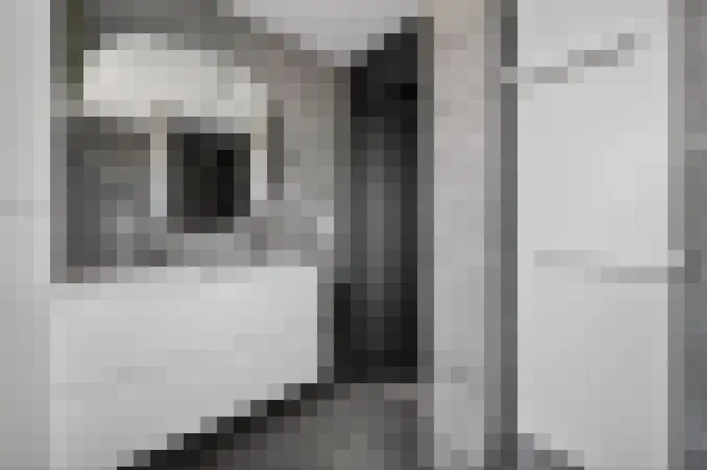 Voeghoutenstraat 22 Klazienaveen thumbnail 33