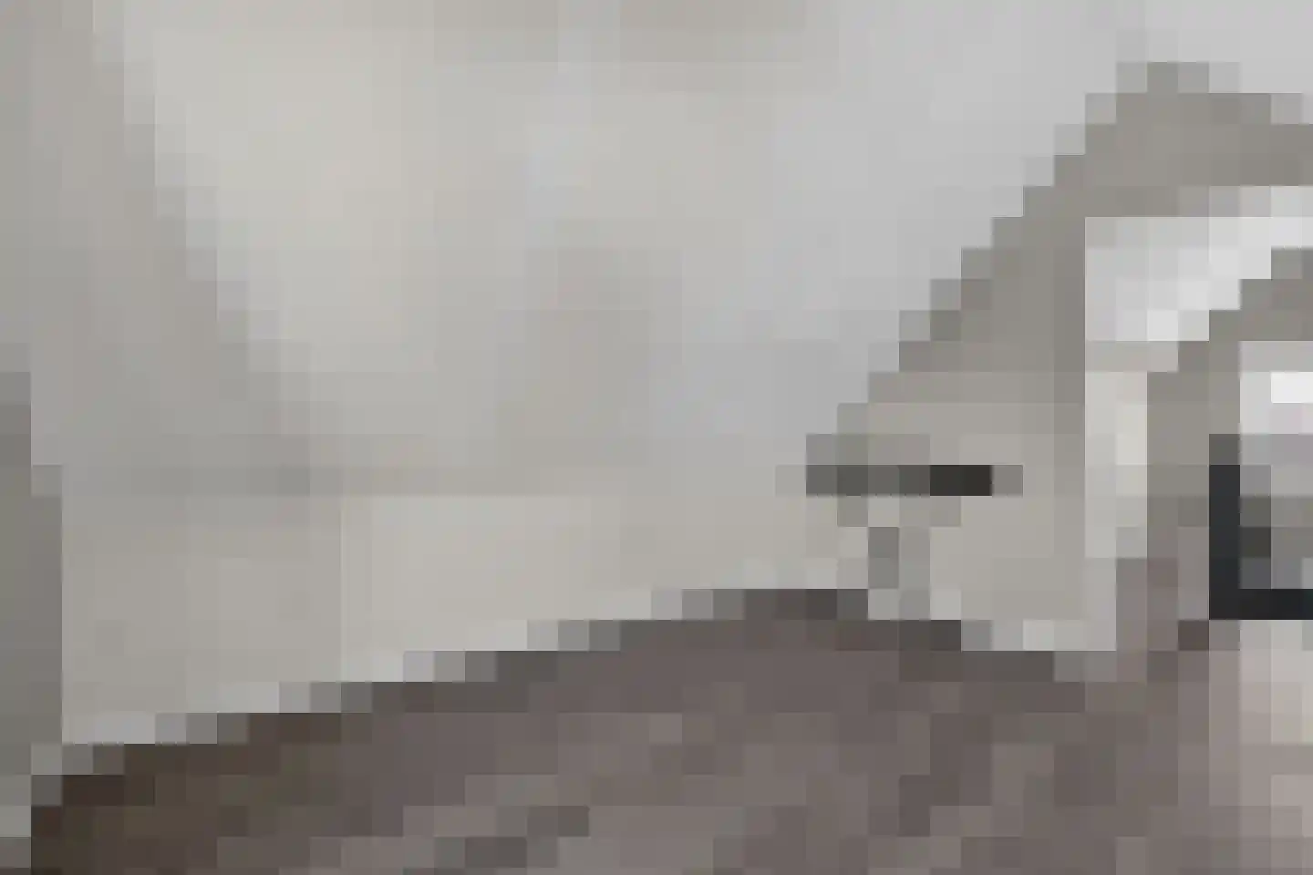 Voeghoutenstraat 22 Klazienaveen thumbnail 34