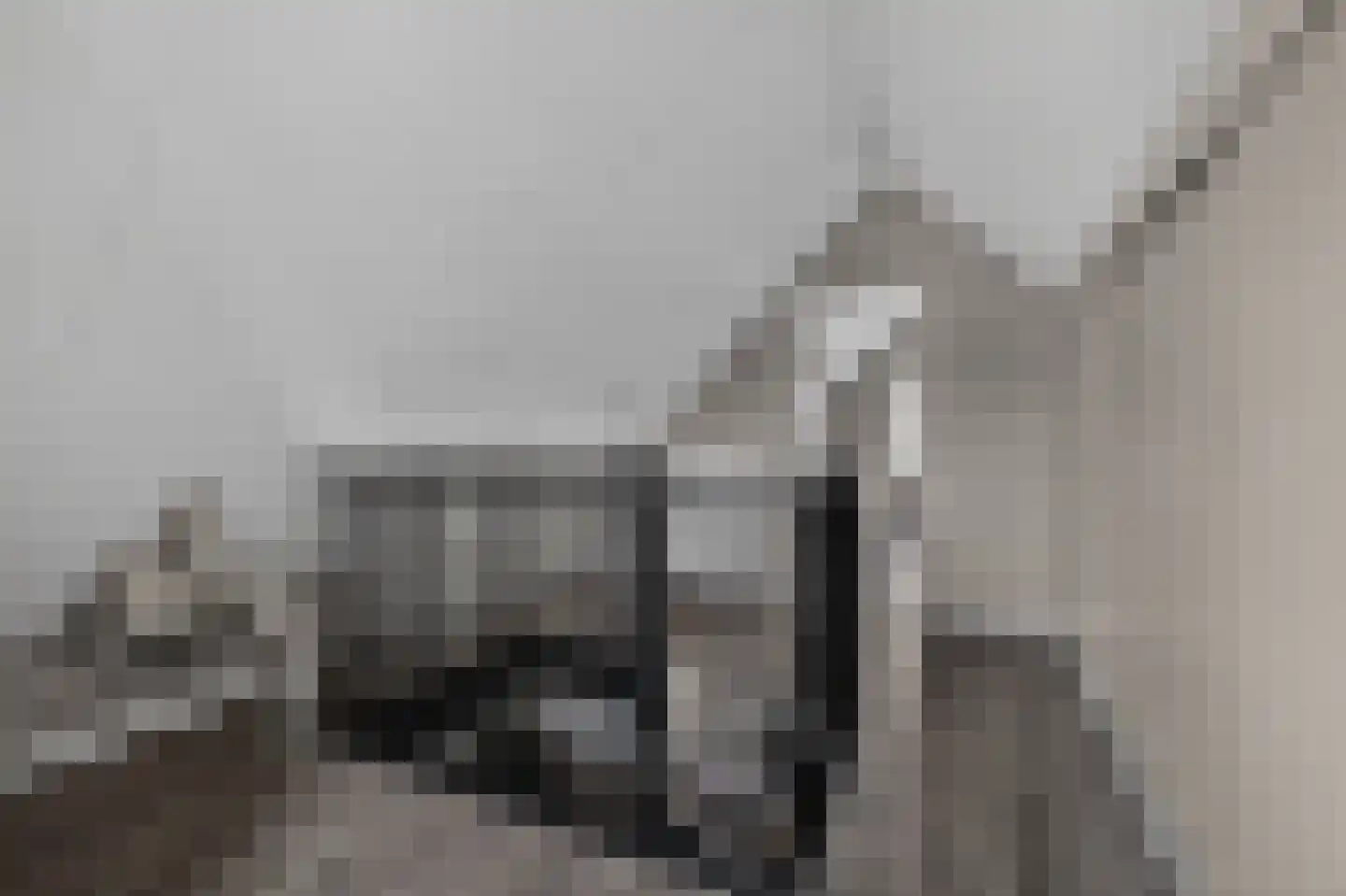 Voeghoutenstraat 22 Klazienaveen thumbnail 36