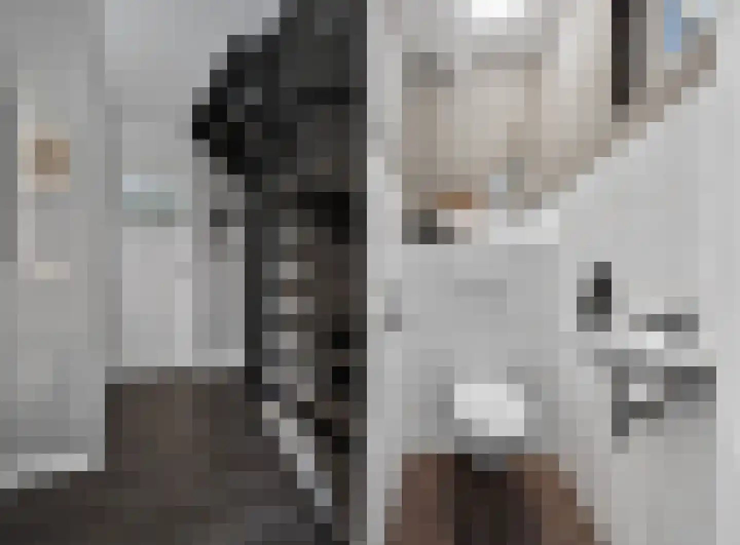 Voeghoutenstraat 22 Klazienaveen thumbnail 4