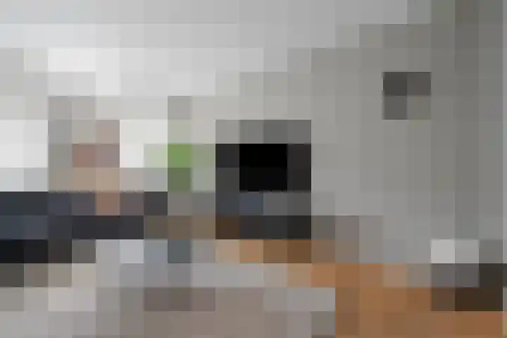 Voeghoutenstraat 226 Klazienaveen thumbnail 18