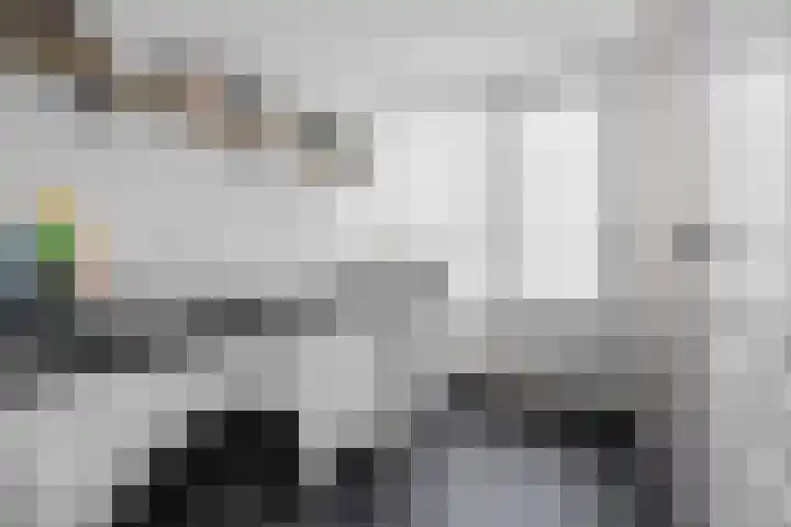 Voeghoutenstraat 226 Klazienaveen thumbnail 20