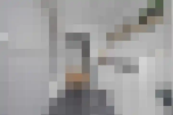 Voeghoutenstraat 226 Klazienaveen thumbnail 21
