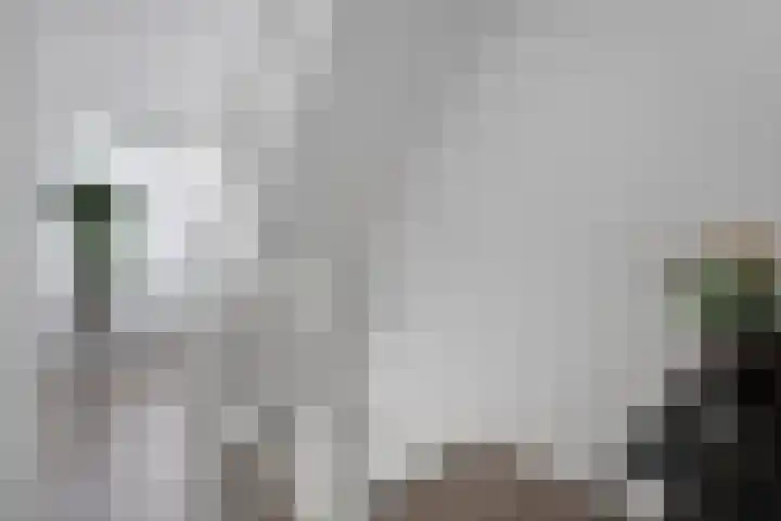 Voeghoutenstraat 226 Klazienaveen thumbnail 23