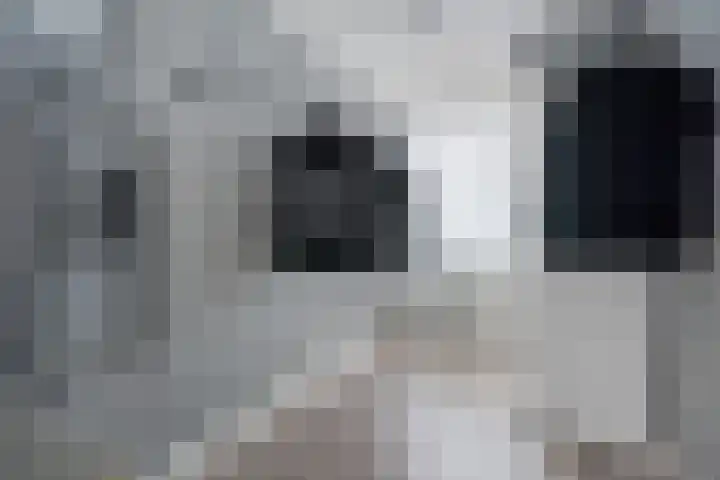 Voeghoutenstraat 226 Klazienaveen thumbnail 26