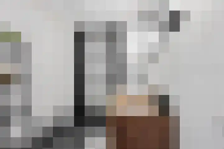 Voeghoutenstraat 226 Klazienaveen thumbnail 30