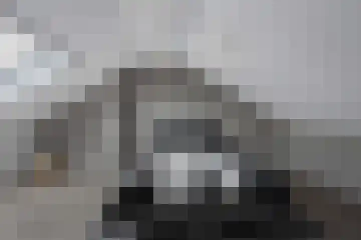 Voeghoutenstraat 226 Klazienaveen thumbnail 33