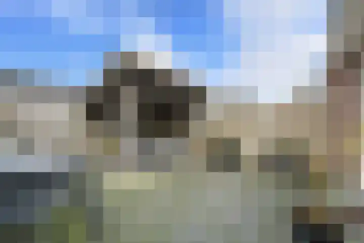 Voeghoutenstraat 226 Klazienaveen thumbnail 35
