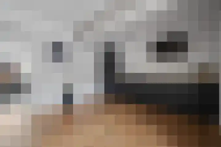 Voeghoutenstraat 226 Klazienaveen thumbnail 7
