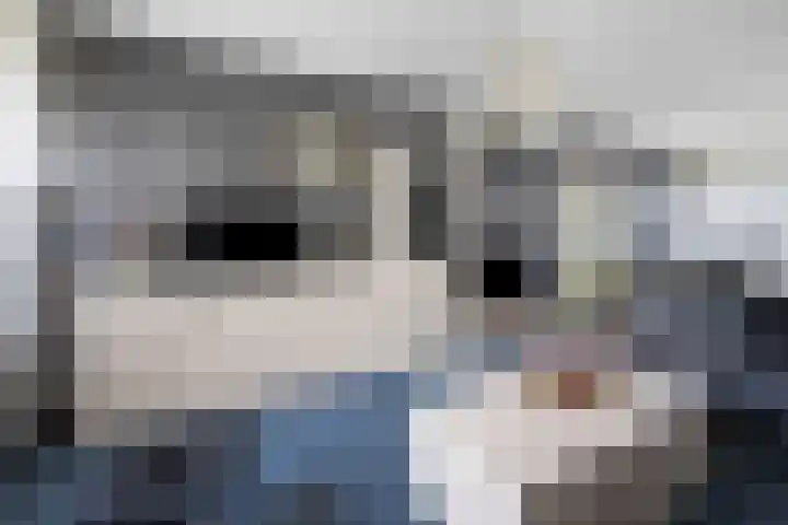 Voeghoutenstraat 230 Klazienaveen thumbnail 12