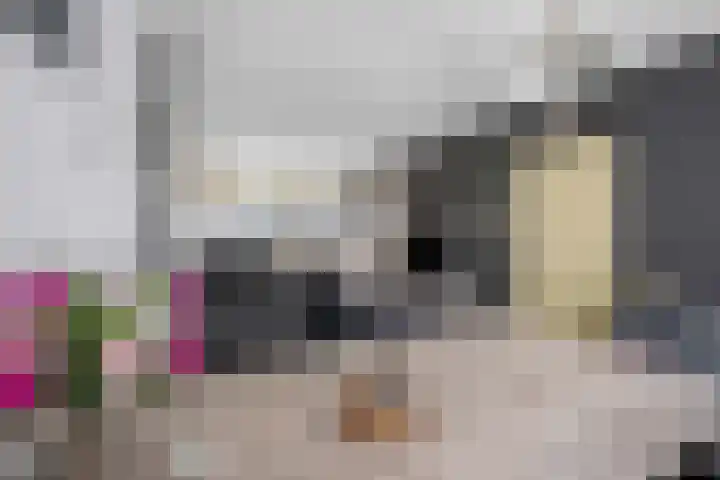 Voeghoutenstraat 230 Klazienaveen thumbnail 16