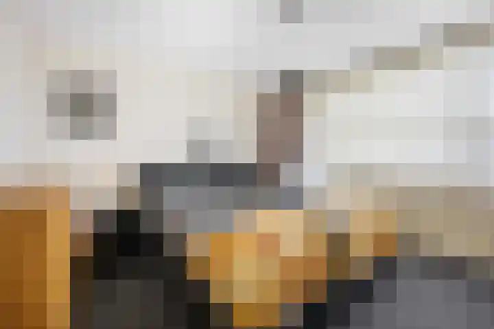 Voeghoutenstraat 230 Klazienaveen thumbnail 18