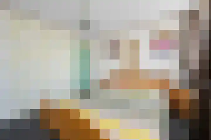 Voeghoutenstraat 230 Klazienaveen thumbnail 23