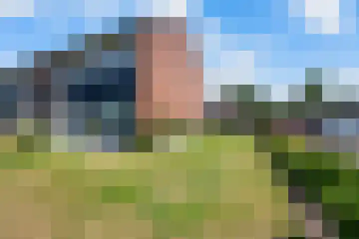 Voeghoutenstraat 230 Klazienaveen thumbnail 32