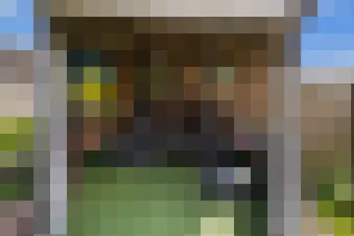 Voeghoutenstraat 230 Klazienaveen thumbnail 37