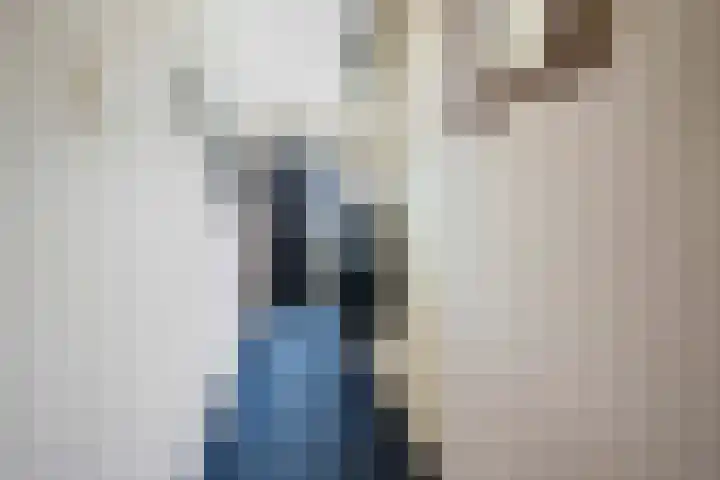 Voeghoutenstraat 230 Klazienaveen thumbnail 4