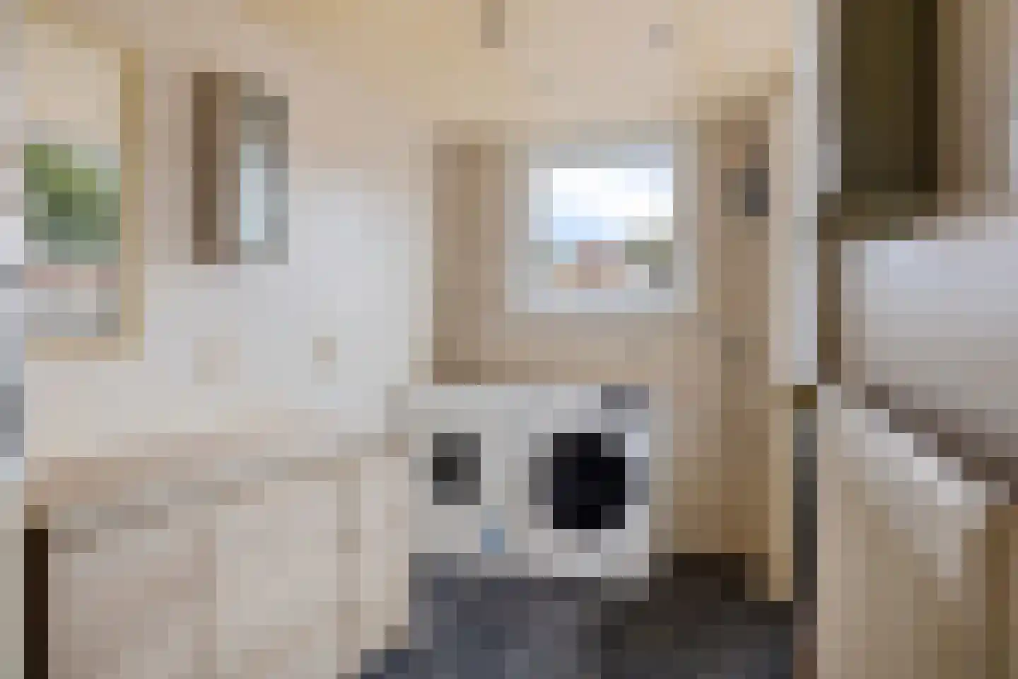 Voeghoutenstraat 270 Klazienaveen thumbnail 13