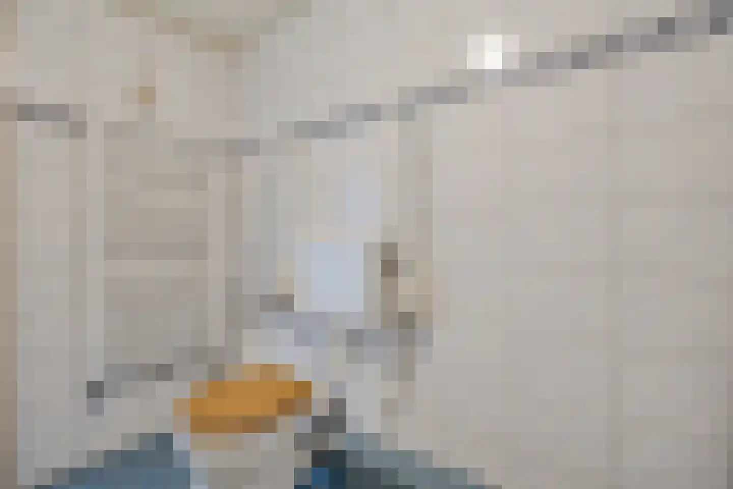 Voeghoutenstraat 270 Klazienaveen thumbnail 26