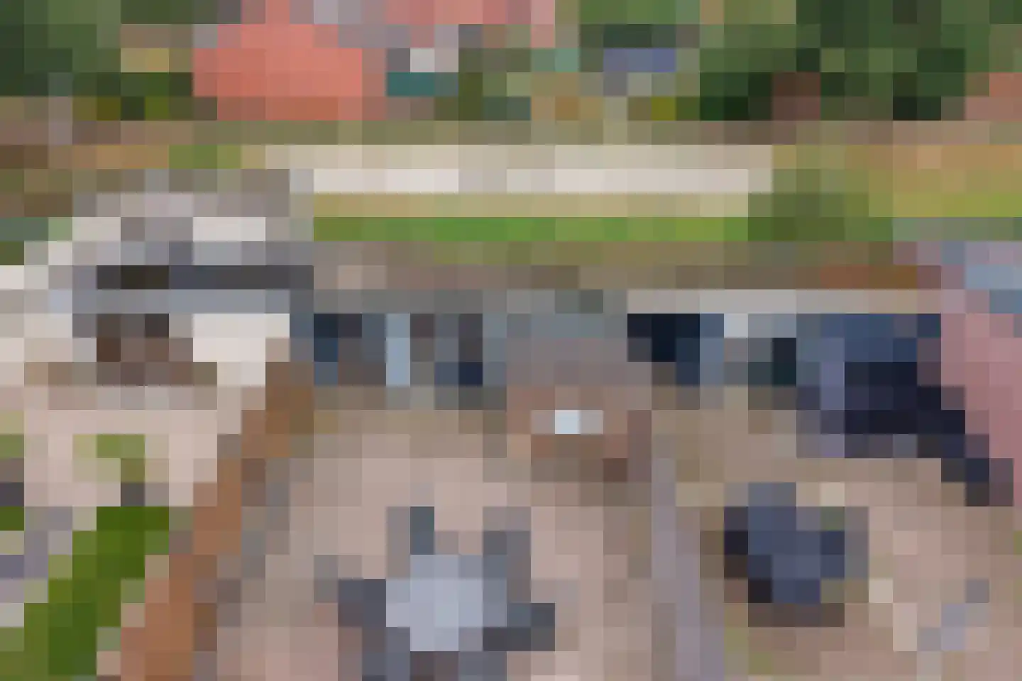 Voeghoutenstraat 270 Klazienaveen thumbnail 40