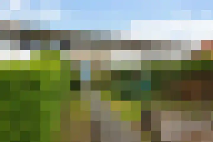 Voeghoutenstraat 282 in Klazienaveen