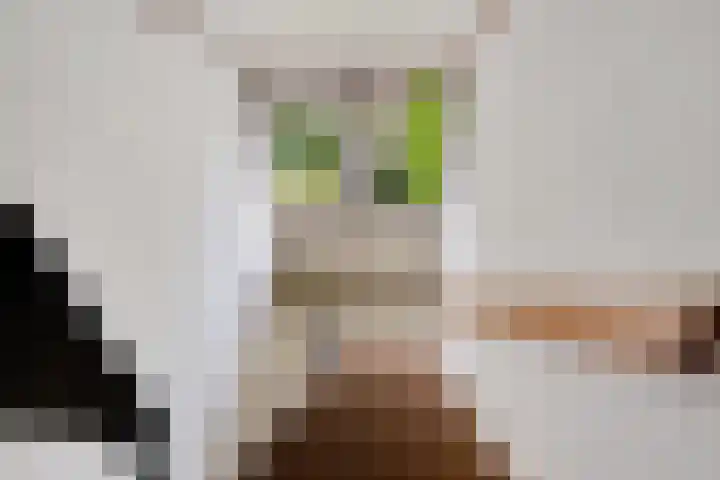 Voeghoutenstraat 282 Klazienaveen thumbnail 11