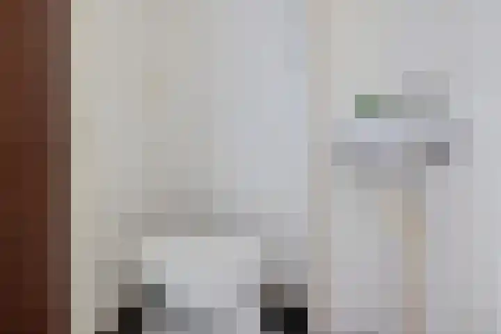 Voeghoutenstraat 282 Klazienaveen thumbnail 12