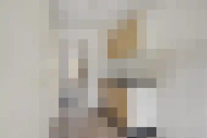 Voeghoutenstraat 282 Klazienaveen thumbnail 16