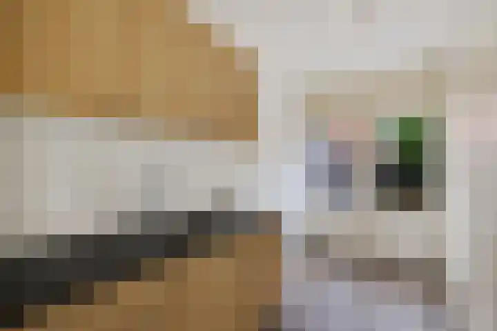 Voeghoutenstraat 282 Klazienaveen thumbnail 17
