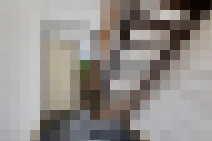 Voeghoutenstraat 282 Klazienaveen thumbnail 18