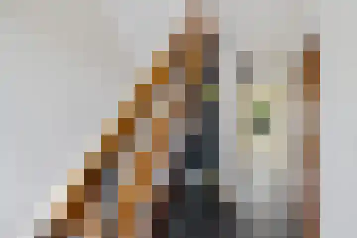 Voeghoutenstraat 282 Klazienaveen thumbnail 19