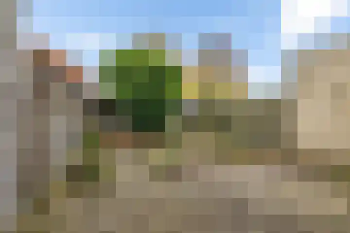 Voeghoutenstraat 282 Klazienaveen thumbnail 4