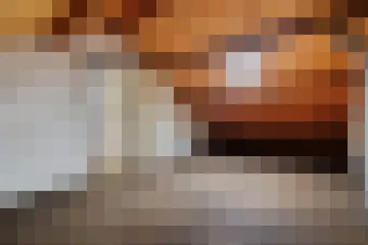 Voeghoutenstraat 282 Klazienaveen thumbnail 5